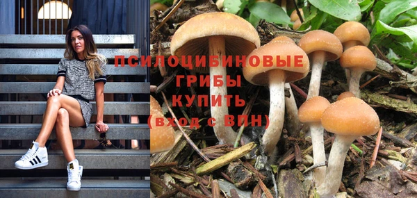 ешки Нея