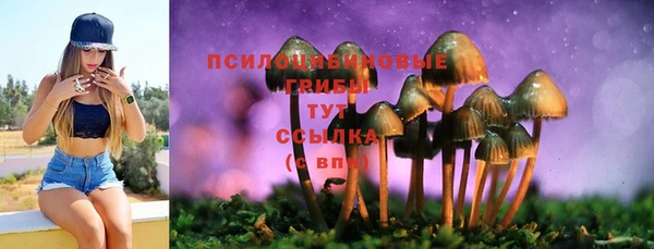 синтетический гашиш Нефтегорск