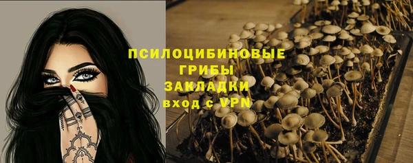 ешки Нея