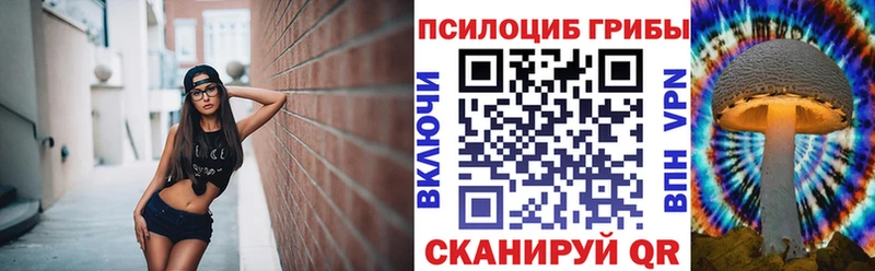 Галлюциногенные грибы GOLDEN TEACHER  Купить закладки  Черногорск 