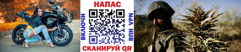 Шишки марихуана сатива Купить где Черногорск